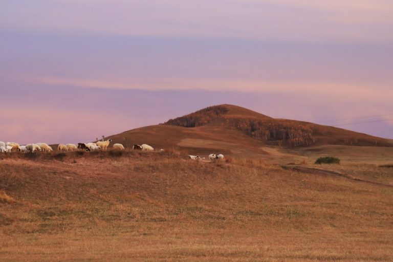 Embracing Nature: The Art of Slow Travel